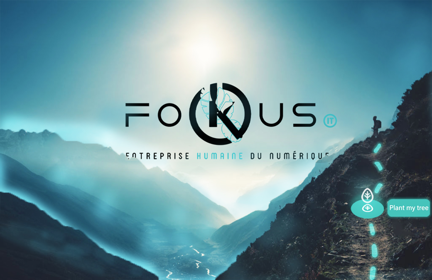 Treely x Fokus