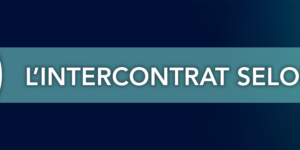 Djed & l'intercontrat